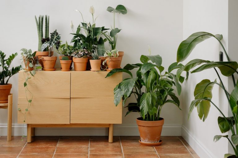 Kunstplanten in huis? Deze tips mag je niet missen!