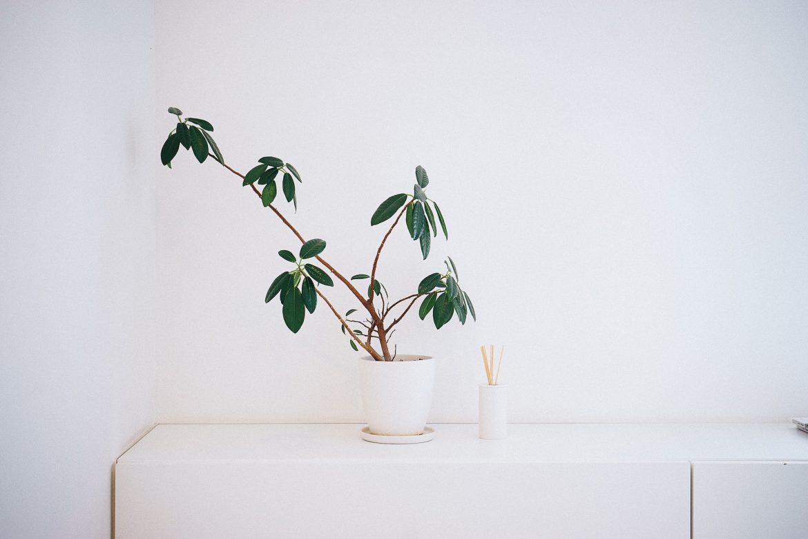 Witte muren schoonmaken? Tips voor een top resultaat! witte muren schoonmaken