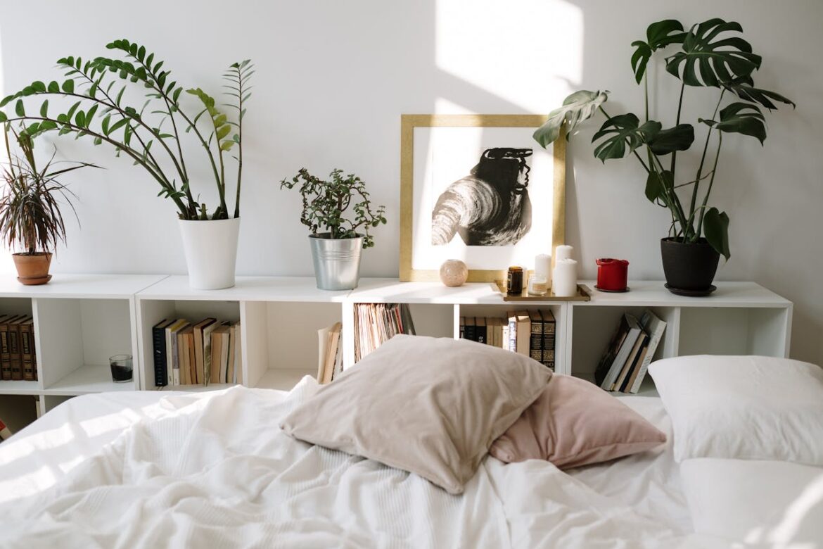 Welke planten kunnen wel en niet in de slaapkamer: je leest het hier! Slaapkamer plant