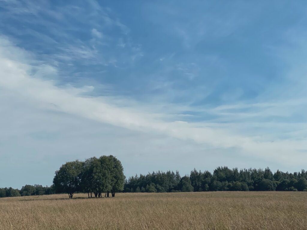 Landelijke woonstijl: rust en warmte in huis Landelijke woonstijl: rust en warmte in huis