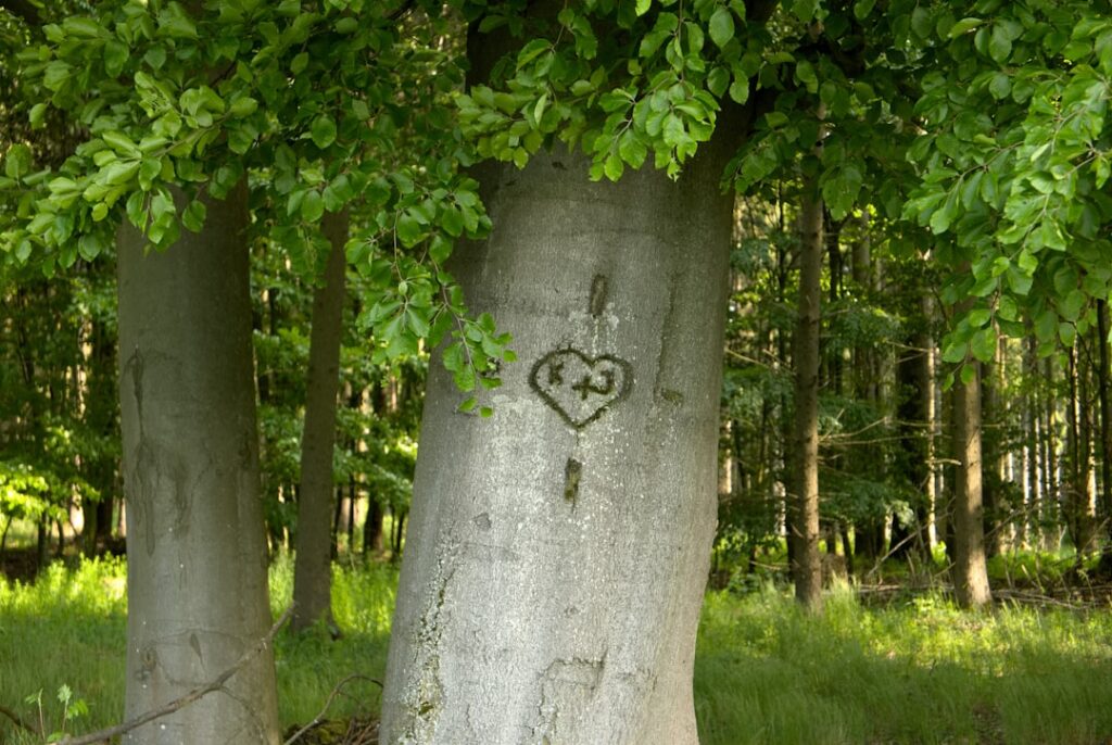 Het persoonlijke leven van zanger Lucas Kramer en zijn vriendin