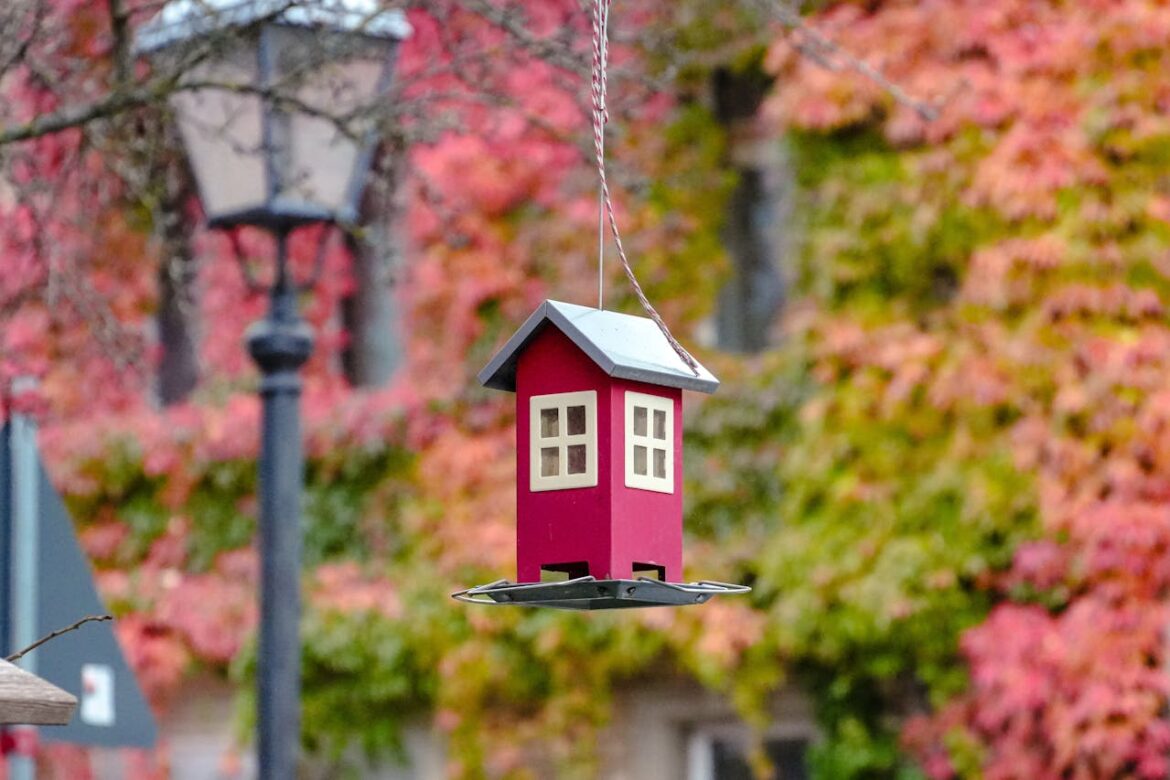 Kies het juiste vogelhuisje voor tuin of balkon