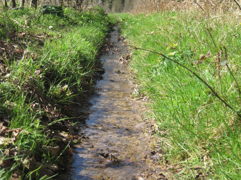 Regenwater afvoeren zonder stress met dakgoot en kelderpomp