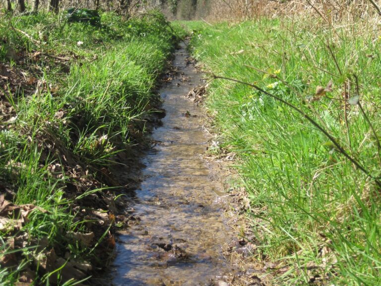 Regenwater afvoeren zonder stress met dakgoot en kelderpomp