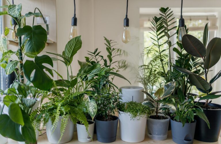 Een tuinkamer als slimme uitbreiding van je woonruimte